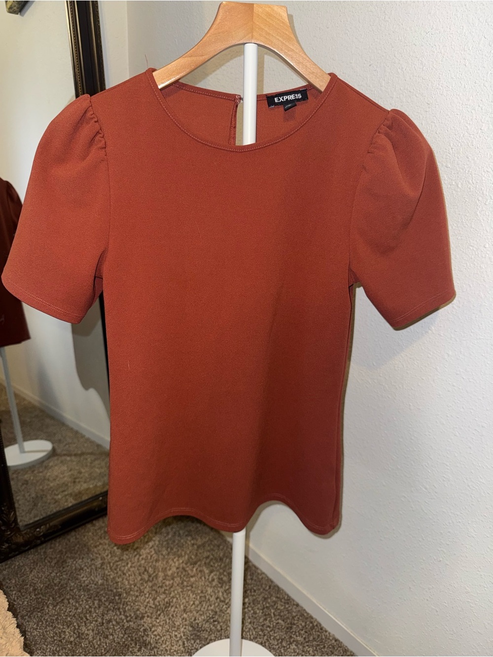 Express Women's Rust Puff Sleeve Crewneck Tee